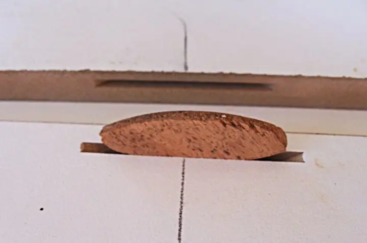 Biscuit joint