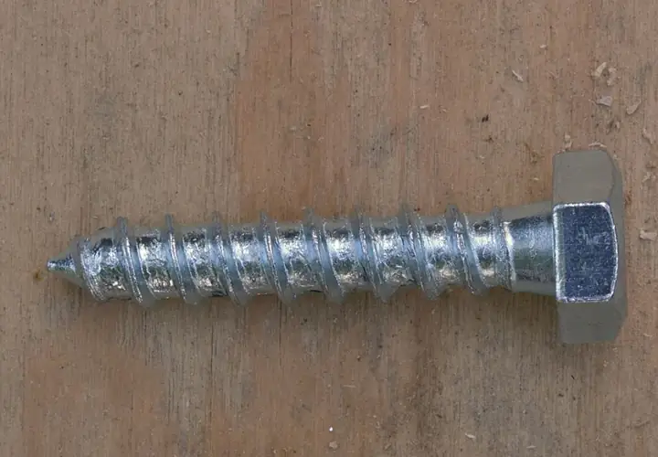 Coach screw (lag screw)